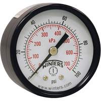 Economy Pressure Gauge, 2" , 0 - 160 psi, Back Mount, Analogue YB870 | Seaboard Industrial Supply Comp