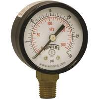 Economy Pressure Gauge, 2" , 0 - 30 psi, Bottom Mount, Analogue YB874 | Seaboard Industrial Supply Comp